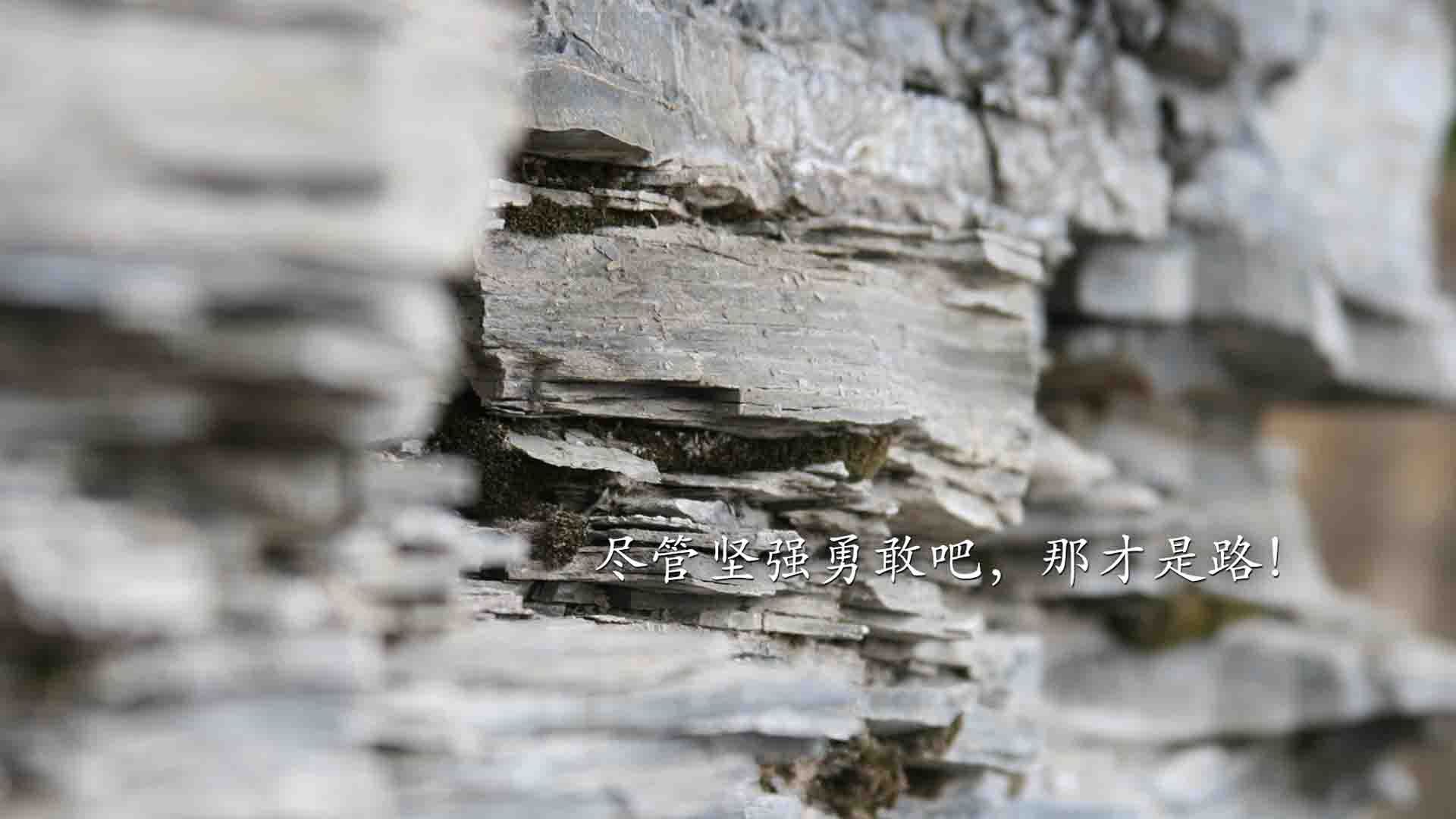 kaiyun-掘金发布球员自传集《我们就是丹佛》，首日销量破万