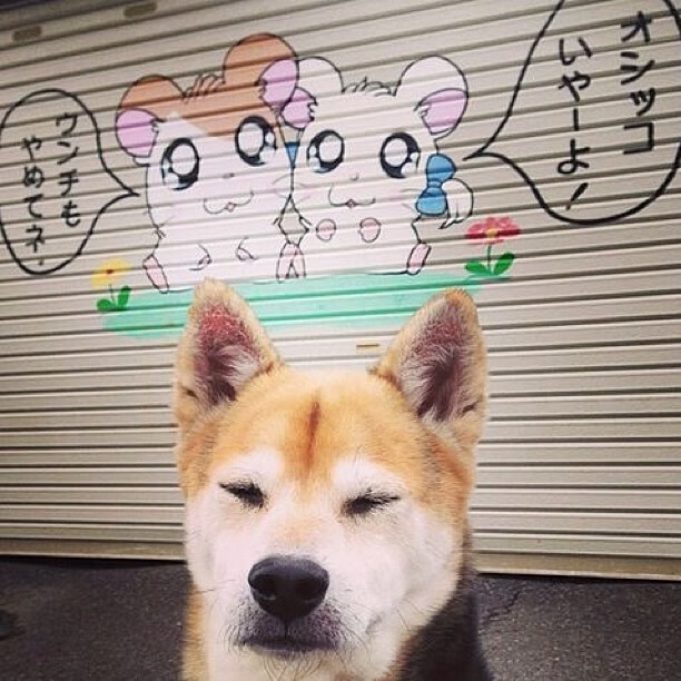 开云kaiyun-法兰克福再度陷入困境，急需全队反思，法兰克福攻略