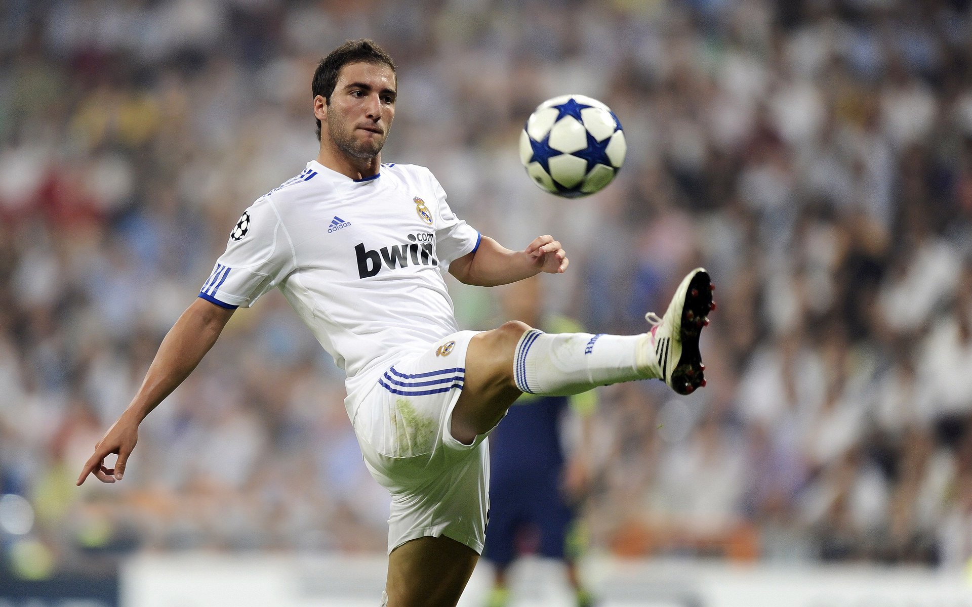 “运动舞蹈:高能开场,金牛区城北体育馆见证精彩不断!”