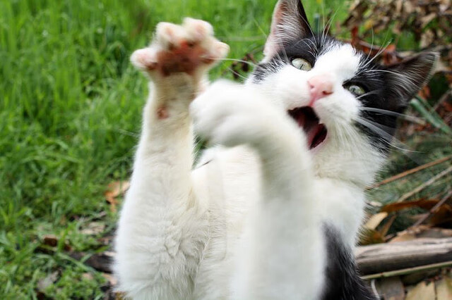 kaiyun体育app-中国足球品牌形象塑造难点，中国足球十大制造品牌