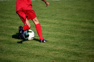 开云中国大陆-青训球员选拔机制存在结构性偏见，青训选拔喜欢那种球员