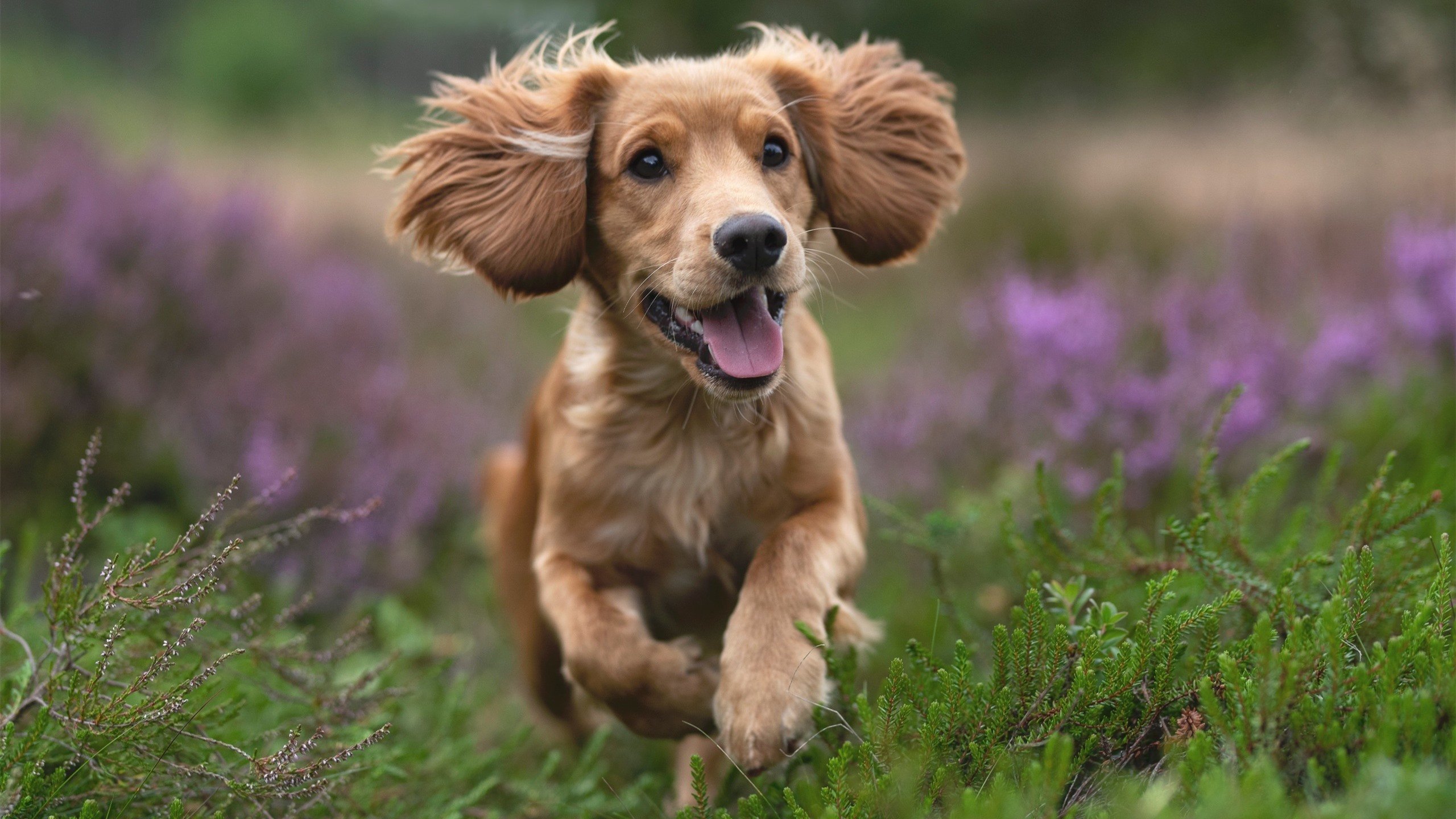 开云官网在线-中超媒体曝光度稳步回升助力联赛影响力扩大，曝中超开赛最新方案